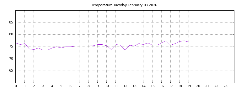 [Temperature today graph]