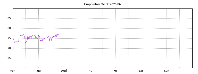 [Temperature this week graph]