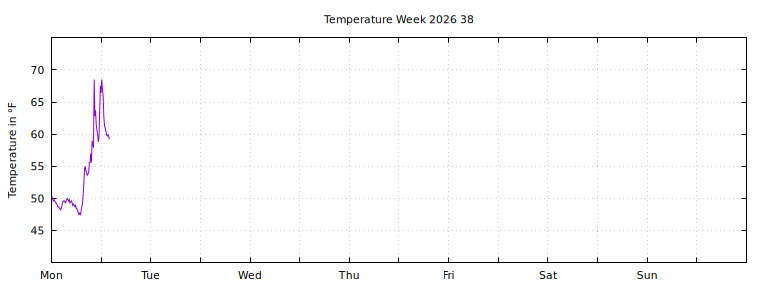 [Temperature this week graph]