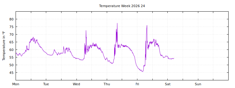 [Temperature this week graph]