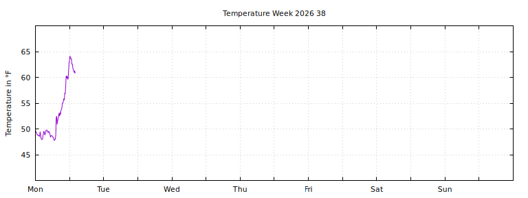 [Temperature this week graph]