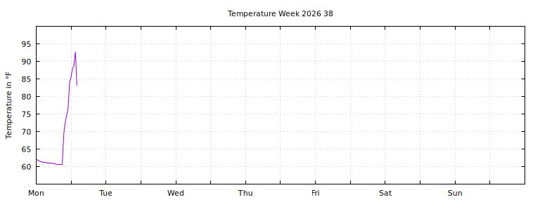 [Temperature this week graph]